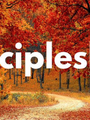 Discipleship and Commitment